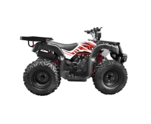 Introducción a los ATV Utilitarios 110CC, 125CC y 140CC