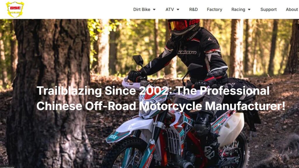 Bosuer Motor official site
