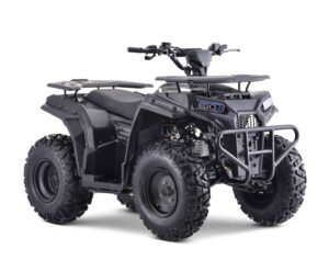 Cuatrimoto BSE UA125 – Múltiples Motorizaciones (110cc / 125cc / 140cc)